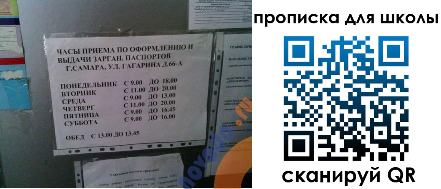 где прописаться в Боготоле